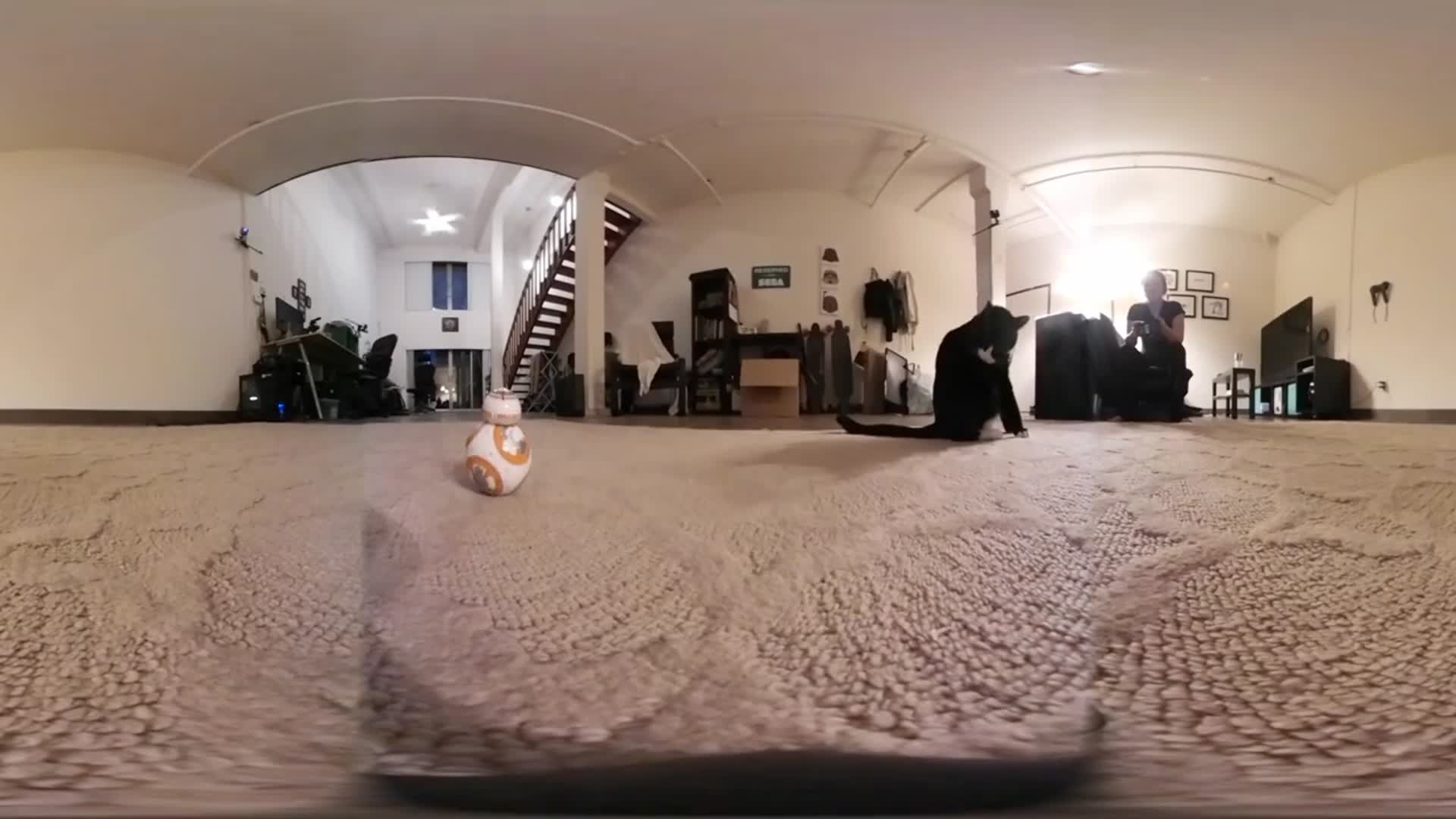 テスト動画2