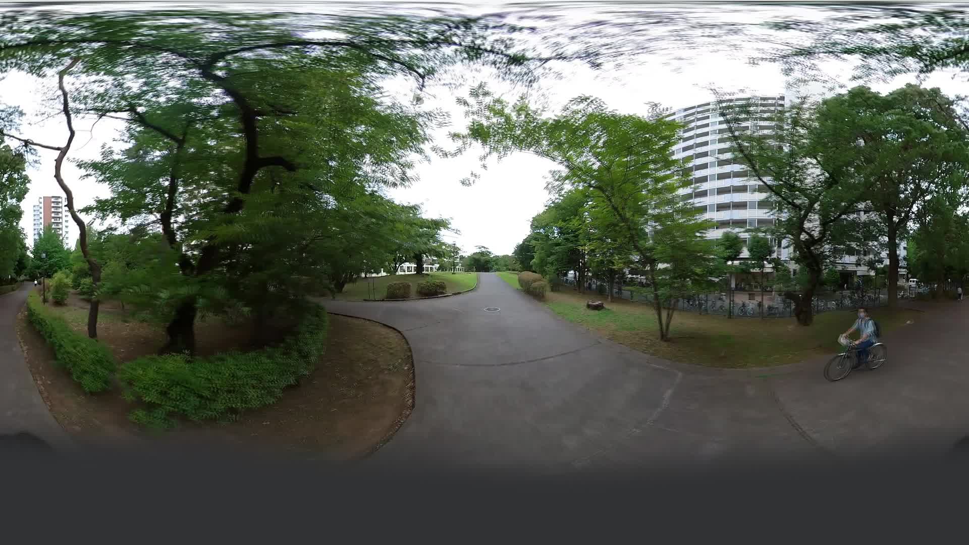 200_4k_粒状感除去